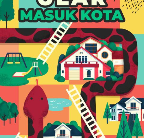 Waspada Ular Masuk Kota