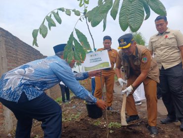 Wali Kota Pasuruan saat menanam pohon matoa di lingkungan Pondok Pesantren