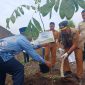 Wali Kota Pasuruan saat menanam pohon matoa di lingkungan Pondok Pesantren