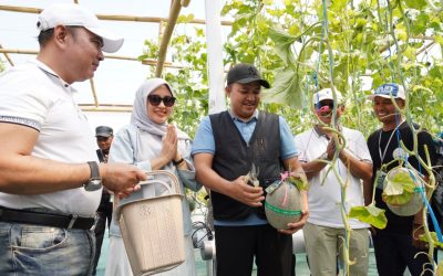 Mas Rusdi Apresiasi BUMDes Sari Mandiri Berkat Melon Hidroponik