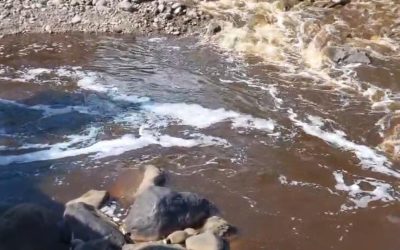 Hulu Sungai Welang Tercemar Limbah, Anggota DPRD Kabupaten Pasuruan Geram