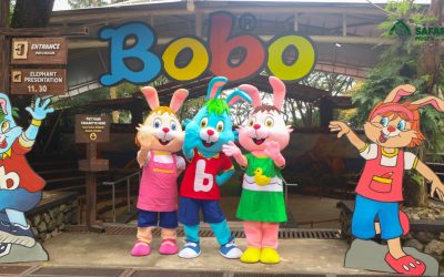 Taman Safari Prigen Gandeng Bobo, Hadirkan Rainbow Adventure untuk Wisata  Keluarga