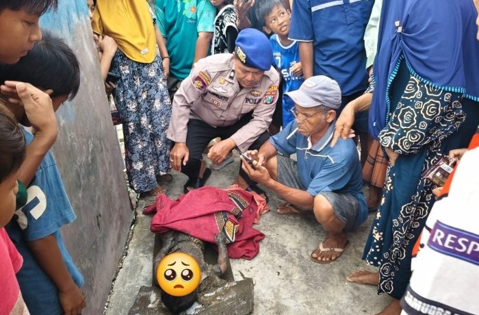 Sempat Hilang, Balita Ditemukan Mengapung Di Laut Pasuruan