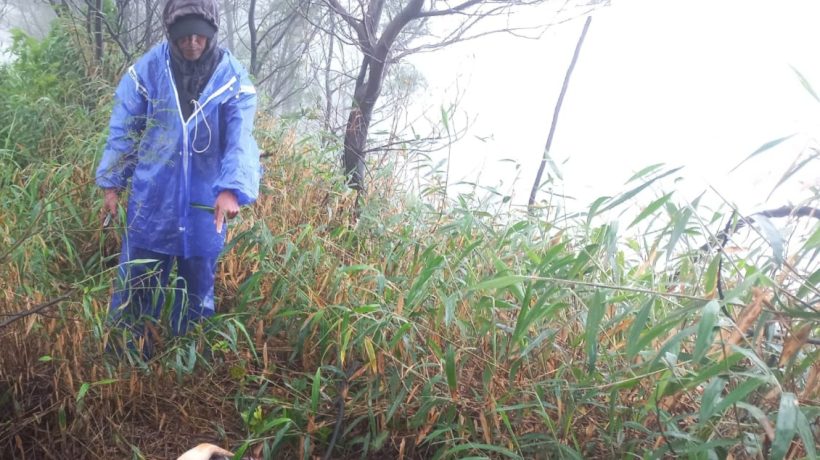 Hilang 40 Hari, Petani Ditemukan Meninggal Disemak Hutan Keciri