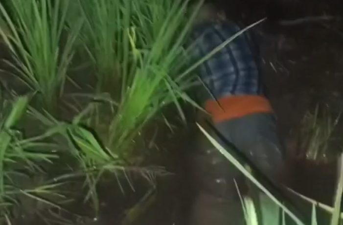 Warga Karangrejo Gempol Dibuat Gempar Adanya Penemuan Mayat