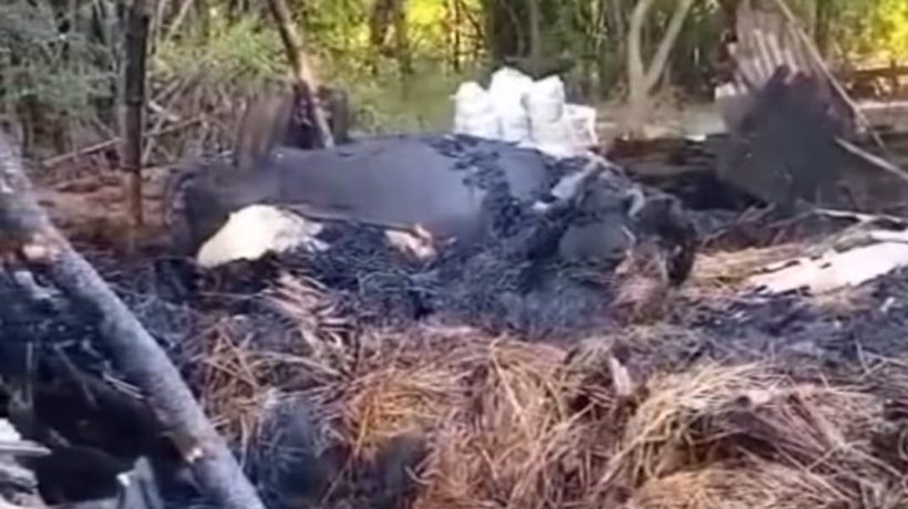 Ditinggal Mandi, Kandang Sapi Warga Desa Jatirejo Terbakar