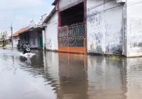 Kawasan Pesisir Pasuruan Terendam Banjir Rob