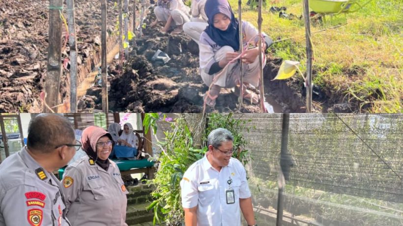 Polres Pasuruan Bersama SMKN 1 Purwosari Kembangkan Budidaya Uwi Ungu