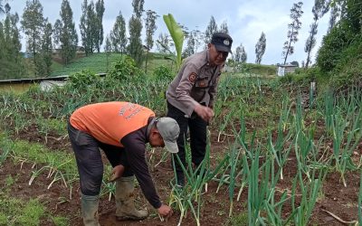 Polisi Turun ke Kebun Bawang Pre, Dorong Warga Aktif Bertanam untuk Ketahanan Pangan