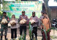 Asta Cita, Polsek Puspo Panen Jagung Bersama Petani