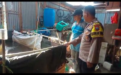 Bhabinkamtibmas Kelurahan Kidul Dalem Dampingi Warga Kembangkan Budidaya Lele