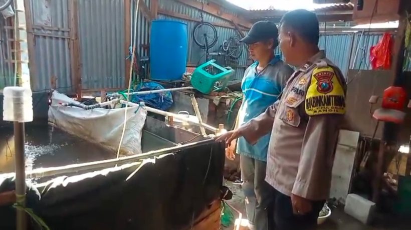Bhabinkamtibmas Kelurahan Kidul Dalem Dampingi Warga Kembangkan Budidaya Lele