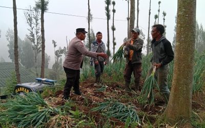 Bhabinkamtibmas Polsek Tosari Pantau Lahan Bawang Prei Milik Warga