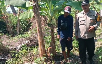 Polsek Rembang Pantau Pekarangan Pangan Bergizi Pisang Cavendish
