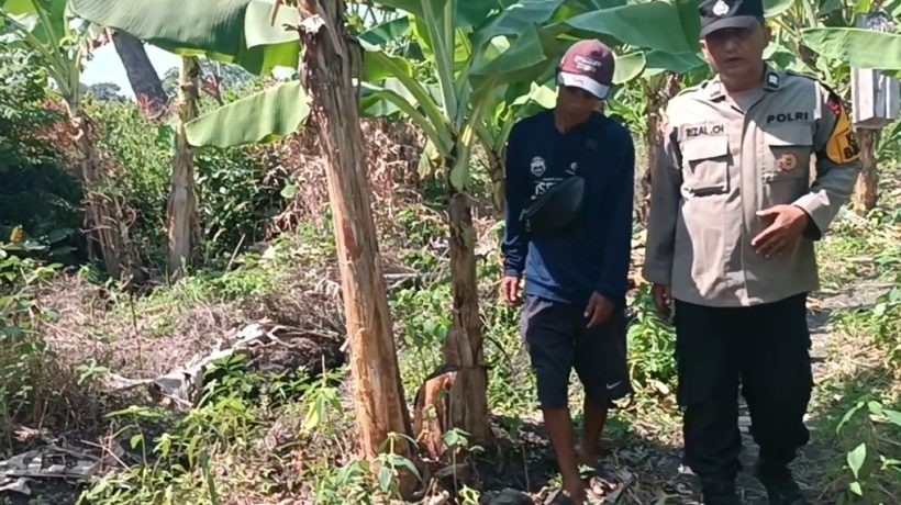 Polsek Rembang Pantau Pekarangan Pangan Bergizi Pisang Cavendish