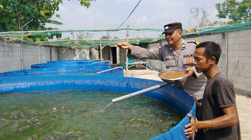 Bhabinkamtibmas Polsek Rembang Pantau Budidaya Lele Milik Warga Bunut