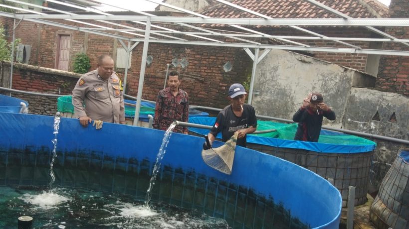 Babinkamtibmas Polsek Bangil Dampingi Warga Tambakan Kembangkan Budidaya Ikan Lele
