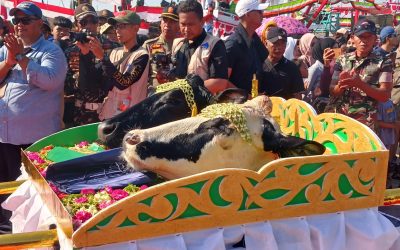 Tradisi Petik Laut Warga Pesisir Pasuruan, Jadi Penggerak Ekonomi dan Wisata Bahari