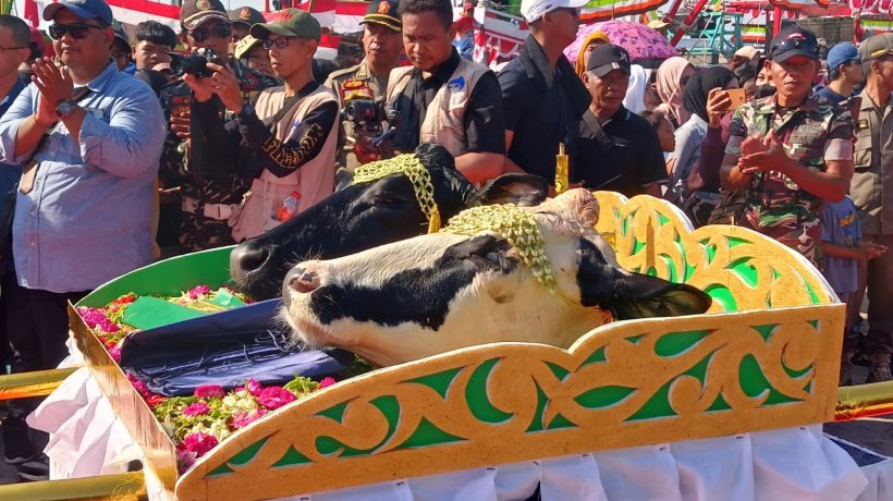 Tradisi Petik Laut Warga Pesisir Pasuruan, Jadi Penggerak Ekonomi dan Wisata Bahari
