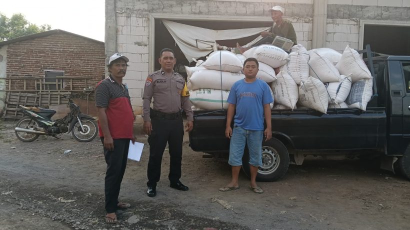 Jagung Petani Sukorejo Tembus Bulog, Polisi Kawal Pengiriman Hasil Panen
