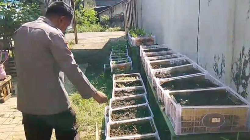 Gugus Tugas Polsek Rembang Pantau Lahan Pekarangan Pangan Lestari (P2L)