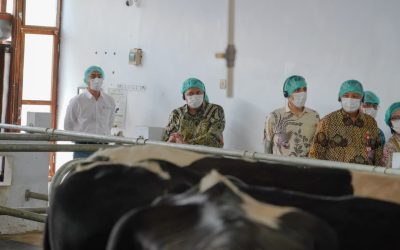 Pasuruan Jadi Daerah Percontohan Kandang Closed Barn, Dorong Produksi Susu Nasional