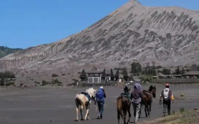 Pasca Kebakaran Wisata Gunung Bromo Dibuka
