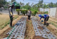 Polsek Nongkojajar Pantau Tanaman Bawang Putih