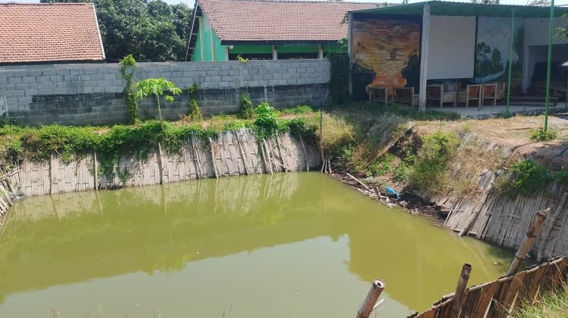 BUMDes Susukanrejo Disorot, Kolam Program Dana Desa Mangkrak Hingga Jadi Tempat Sampah