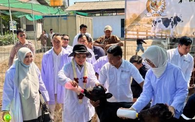 Dorong Kemandirian Susu Nasional, Kementan dan Komisi IV DPR RI Perkuat Koperasi Susu