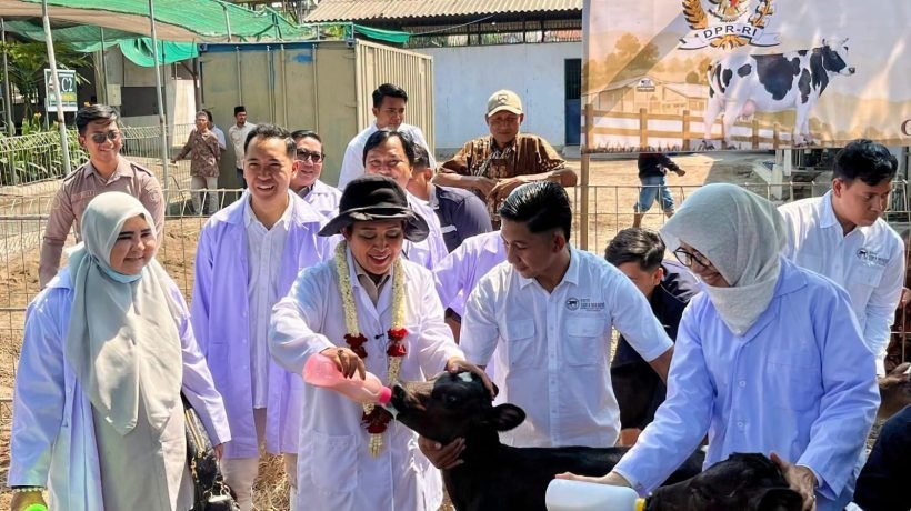 Dorong Kemandirian Susu Nasional, Kementan dan Komisi IV DPR RI Perkuat Koperasi Susu