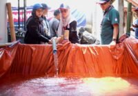 Organon Salurkan 12.000 Liter Air Bersih untuk Warga Jatiarjo Terdampak Kekeringan
